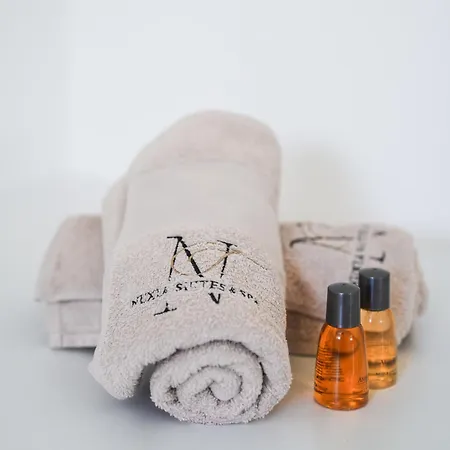Nuxia Suites&spa - L'art Design Appartamento